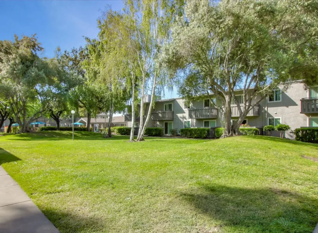 Green space between residential buildings with trees and sidewalks